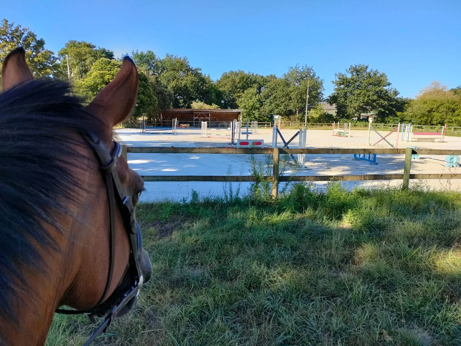 pension de chevaux Bruz